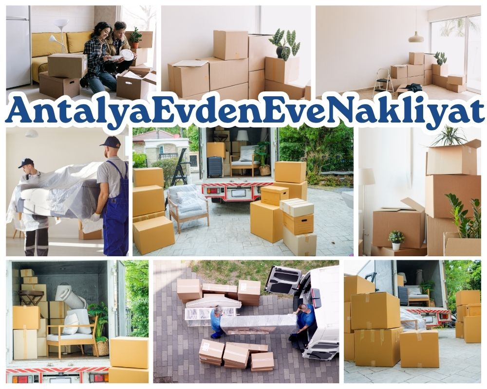Antalya Dilovası Asansörlü Evden Eve Nakliyat
